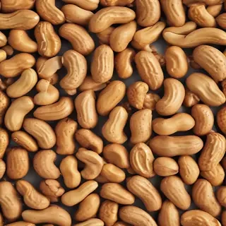 peanut png
