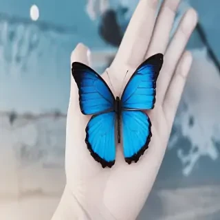 blue butterfly aesthetic