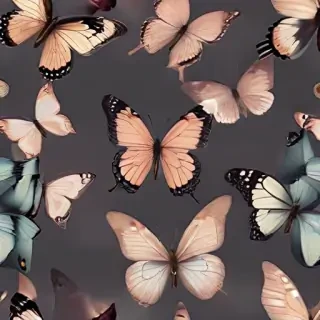 aesthetic butterflies