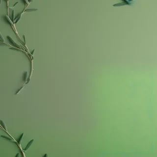 aesthetic sage green backgrounds