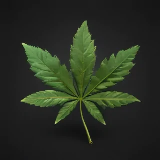 weed leaf png