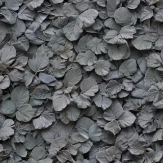 aesthetic grey