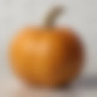 pumpkin png