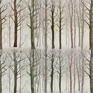 trees transparent