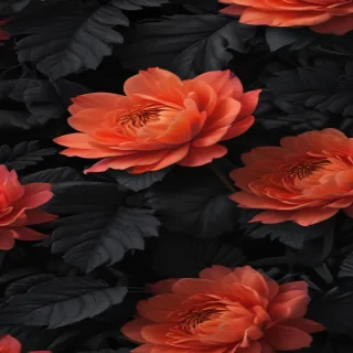 black wallpaper 4k phone