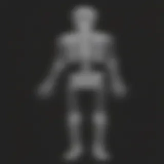skeleton transparent