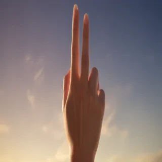 middle finger background
