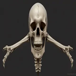 bones png