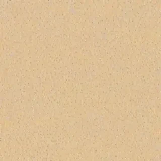 beige backgrounds