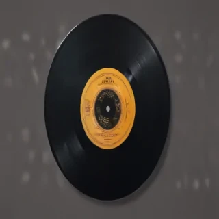 vinyl record png