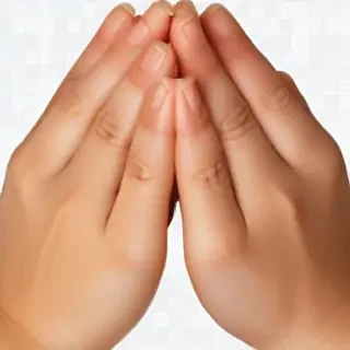praying hands png transparent