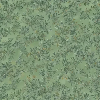 sage green backround