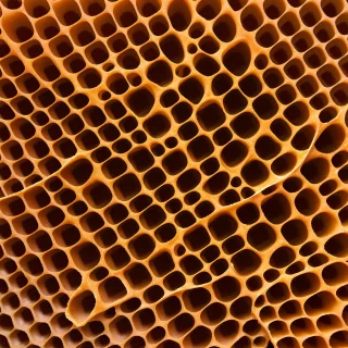 honeycomb png