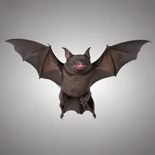 bats png
