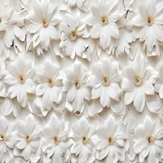flower background white