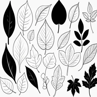black and white leaf clip art