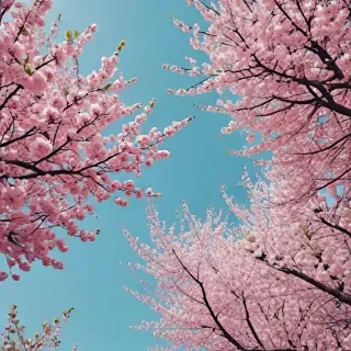 aesthetic wallpaper spring