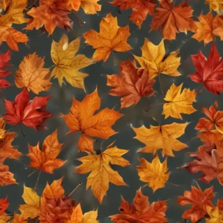 autumn leaves png
