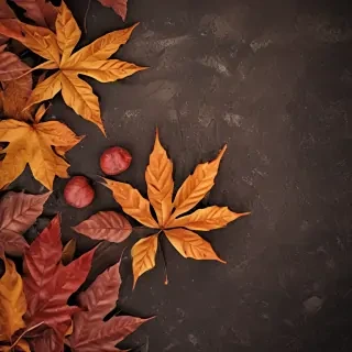 autumn iphone wallpaper