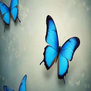 blue butterfly background