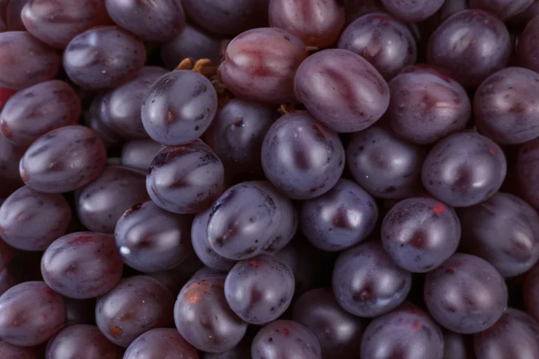 grape png