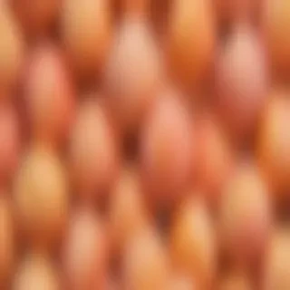peach background wallpaper