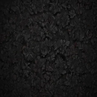 black wallpaper for iphone