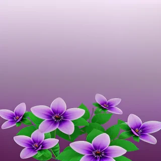 purple flowers transparent background