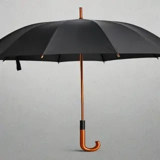 umbrella transparent background