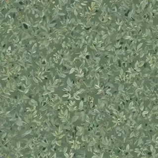 sage green photos