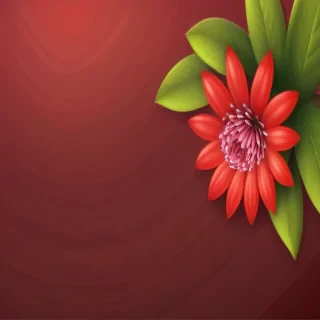 red flower background