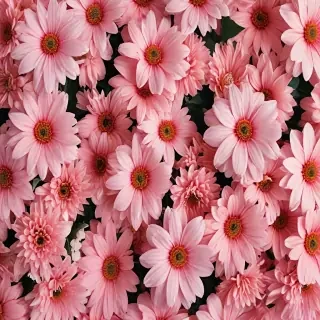 flower aesthetic wallpaper