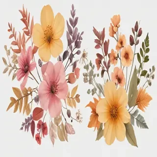 pressed flower png