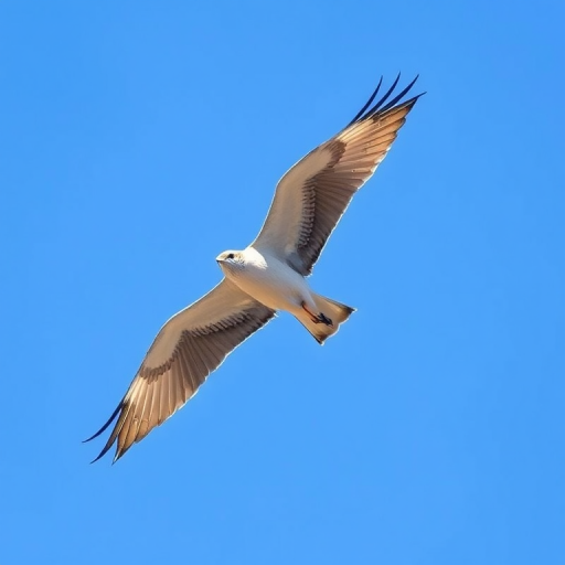 create an illustration of a bird in flight against a clear blue sky, capture with a DSLR camera at 35mm lens, aperture set to f/5.6, ISO 100, shutter speed 1/800s, natural light, high resolution for vivid colors and sharp details.