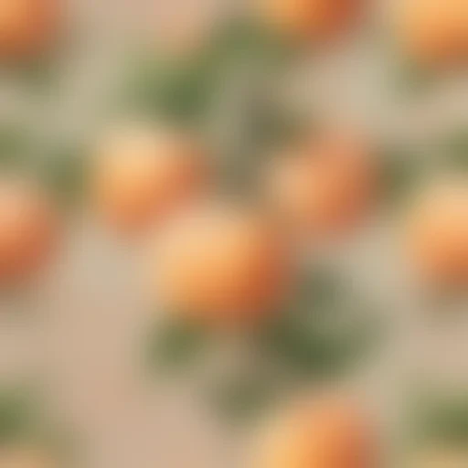 peach aesthetic wallpaper