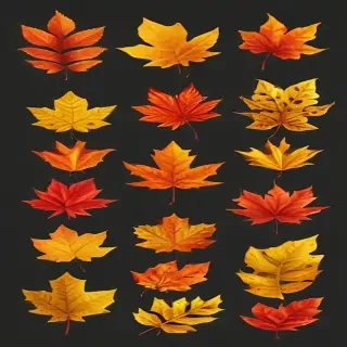 fall leaves png