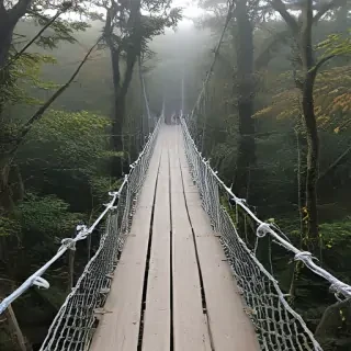 suspension bridge