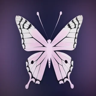 butterfly outline