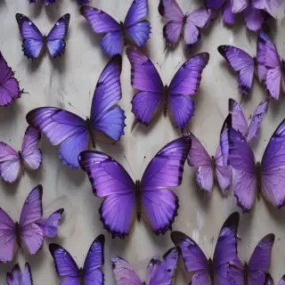 purple butterflies