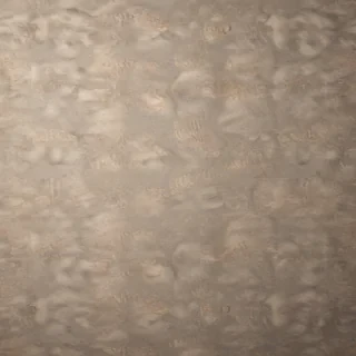 texture png transparent