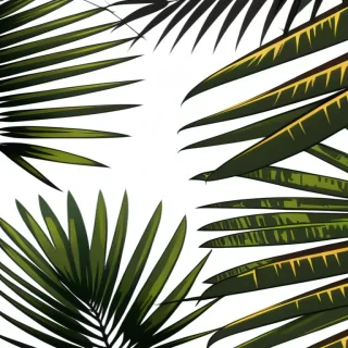 palm tree leaves png