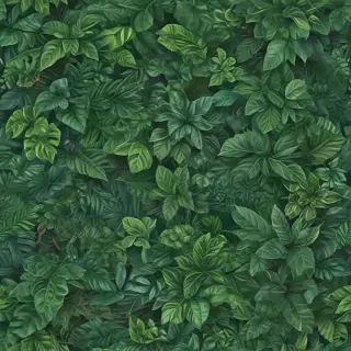 plant backgrounds