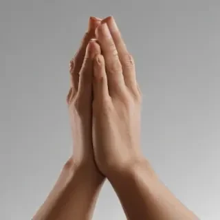 praying hands png transparent