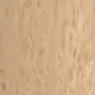 beige plain background
