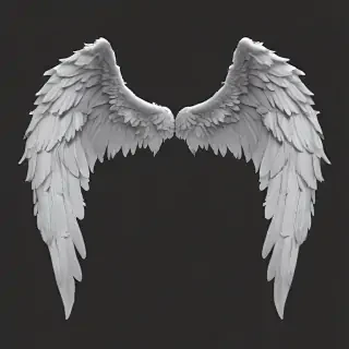 transparent angel wings png