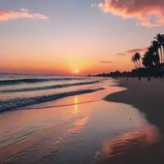 aesthetic beach pics
