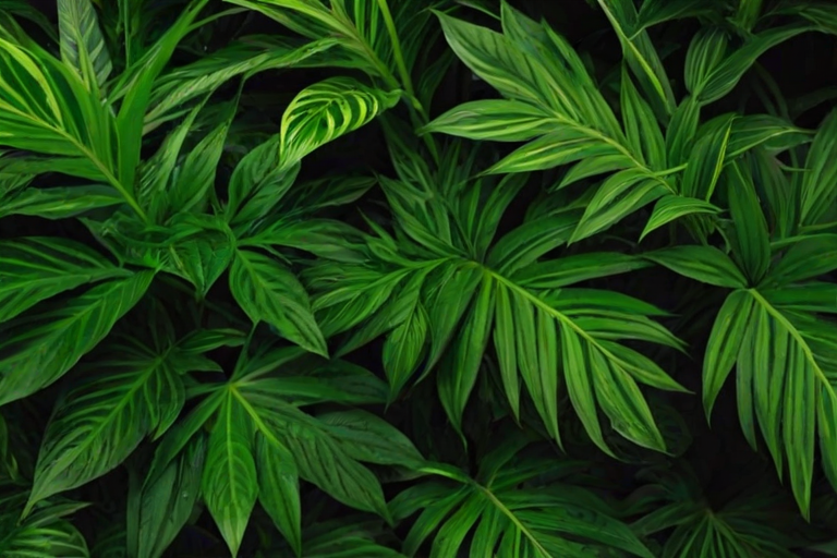 zoom background plants