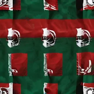 mexico flag wallpaper