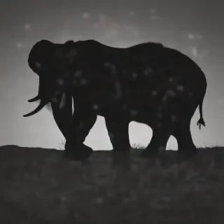 elephant silhouette