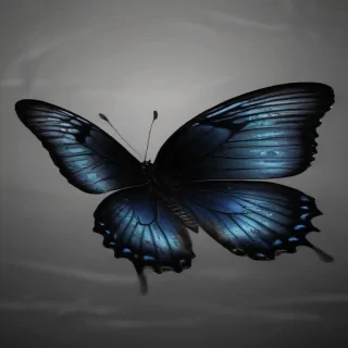 black butterfly outline